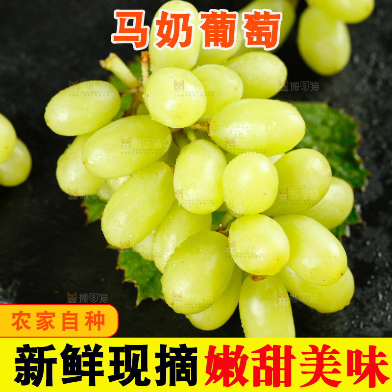 黑底上放着马奶葡萄