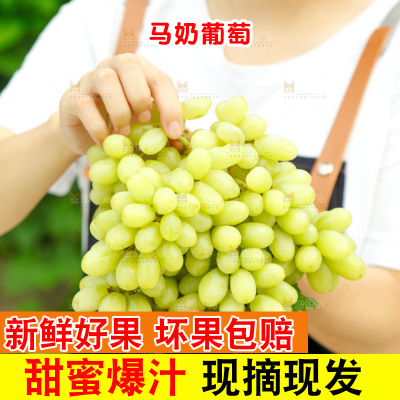 手里拿着马奶提子