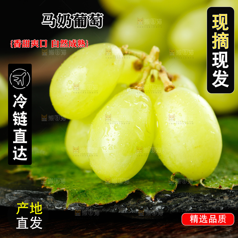 黑底上放着马奶葡萄