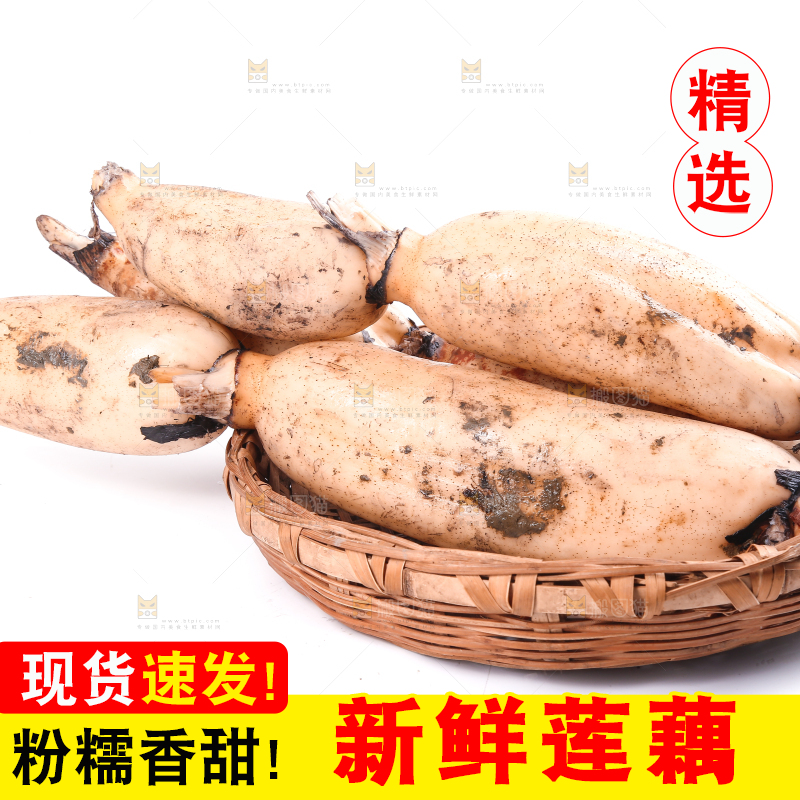 篮子里的洪湖莲藕