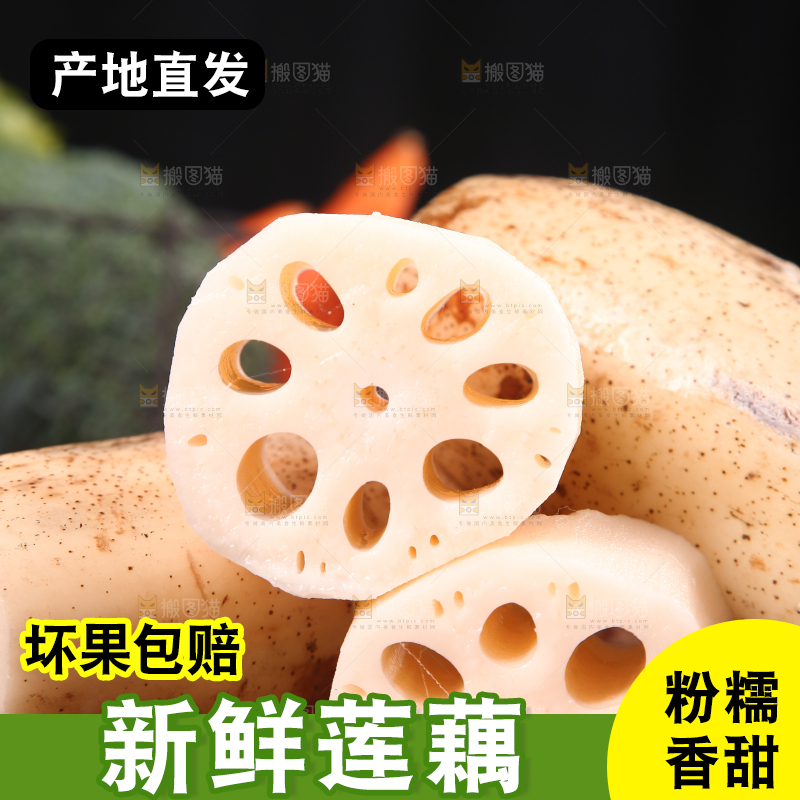 一堆洪湖粉藕