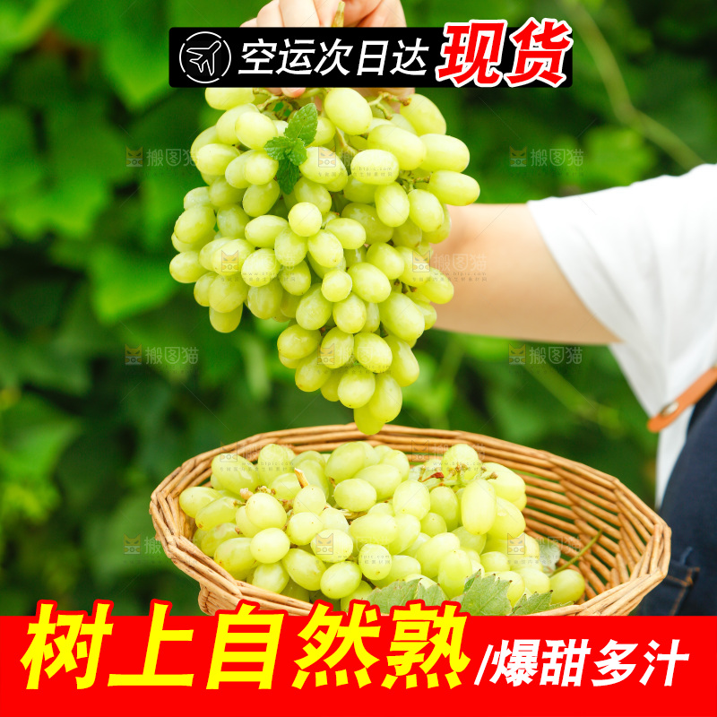 手里拿着白葡萄