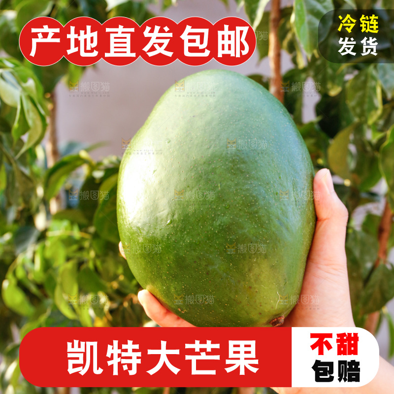 手里拿着青皮凯特芒