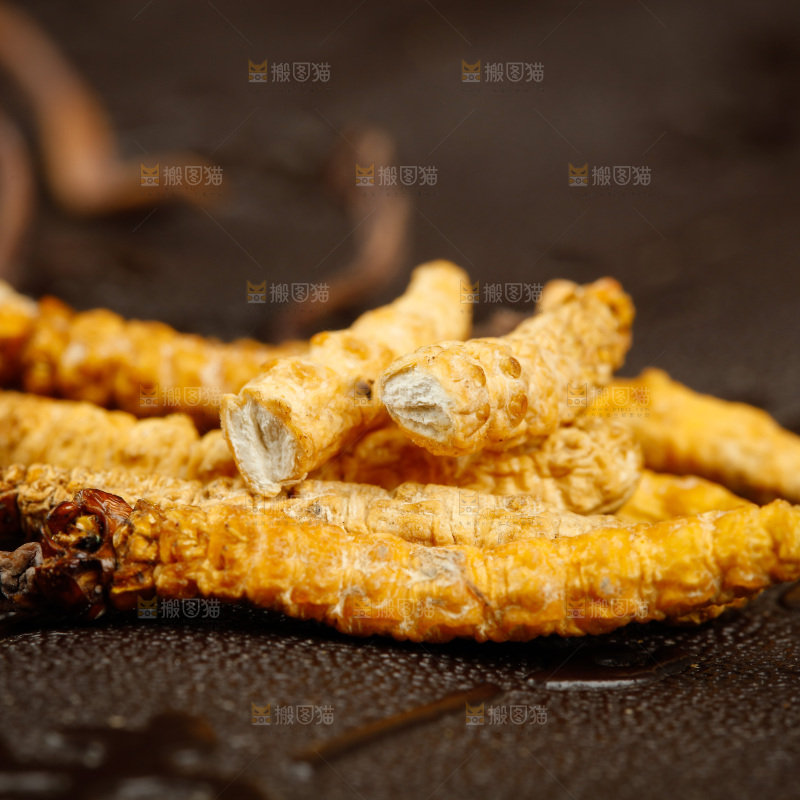 深底上摆放着虫草