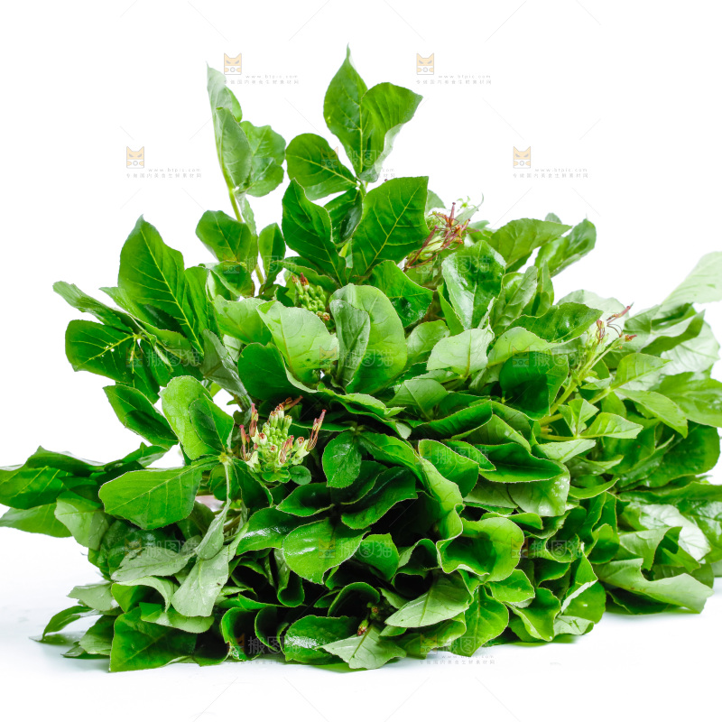 一堆白花菜