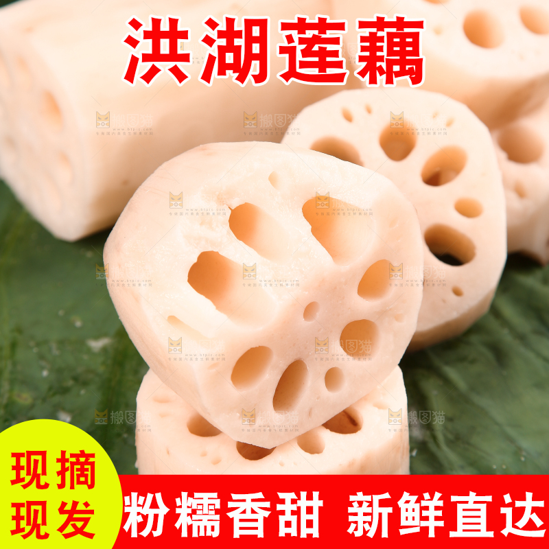 荷叶上的粉藕
