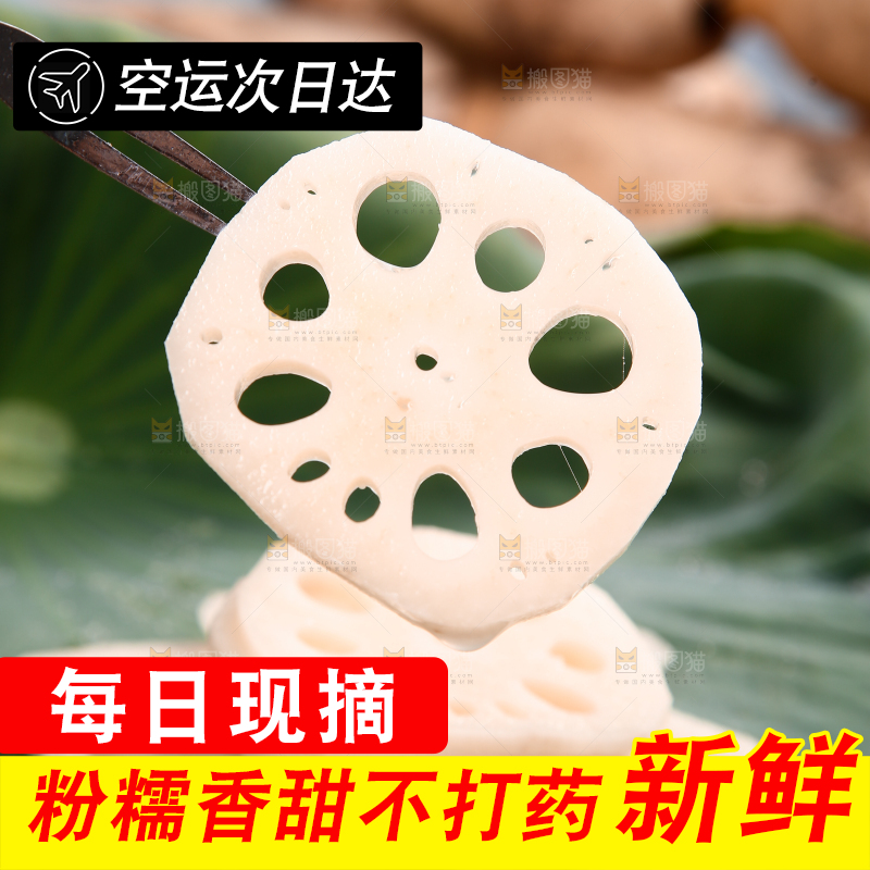 荷叶上放着一堆藕片