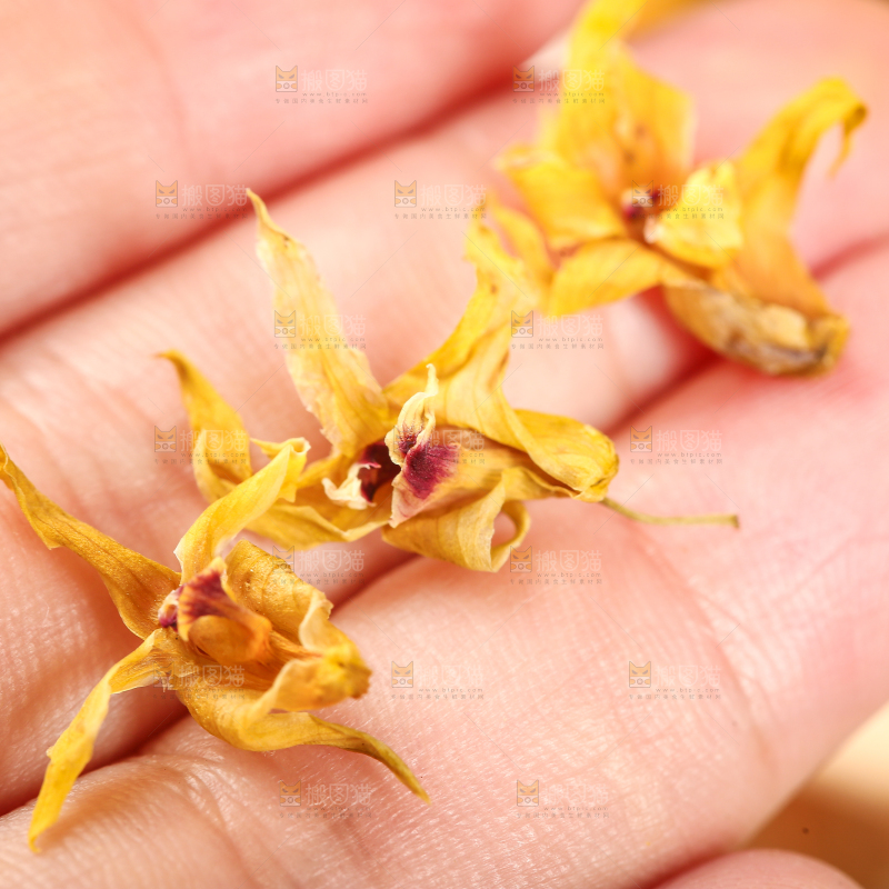 手里拿着石斛花