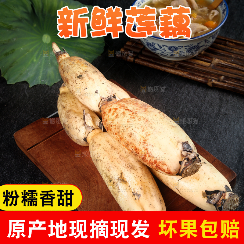 木板上放着新鲜莲藕