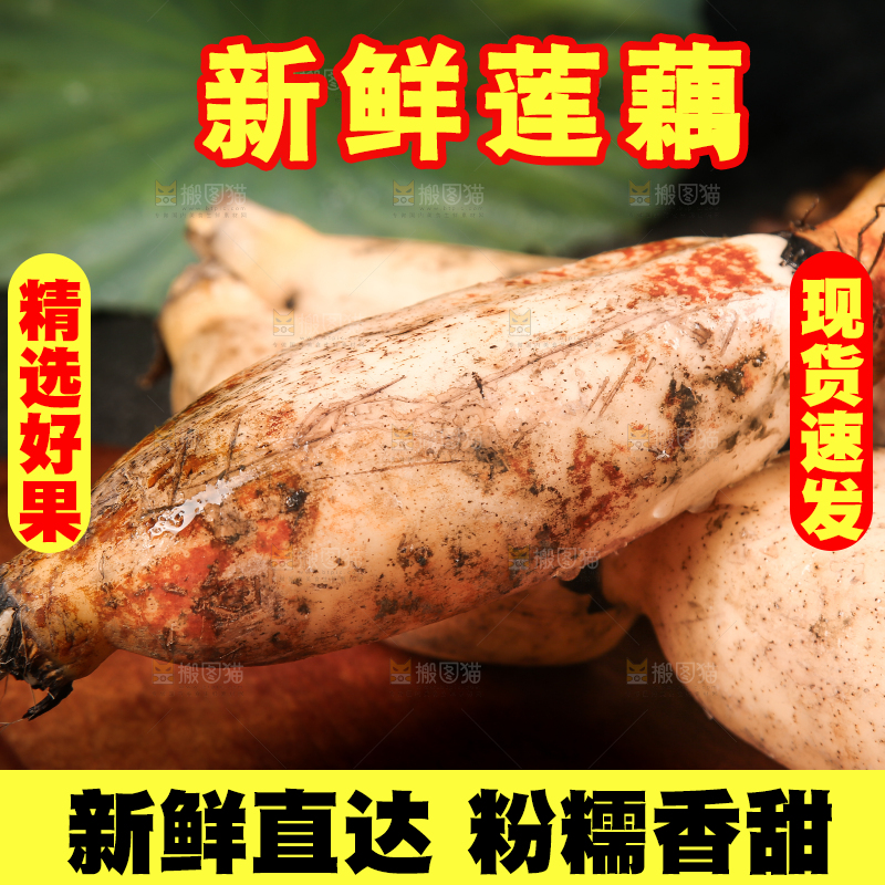 木板上放着新鲜莲藕