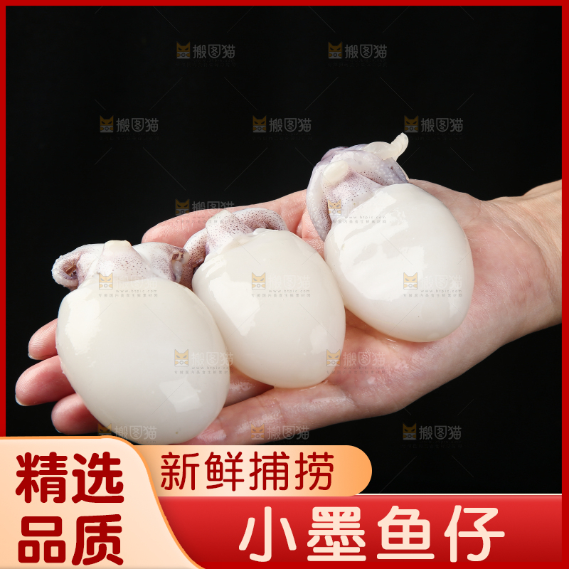 手里拿着小乌贼