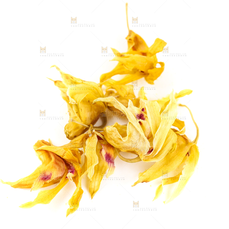 白底上的石斛花干