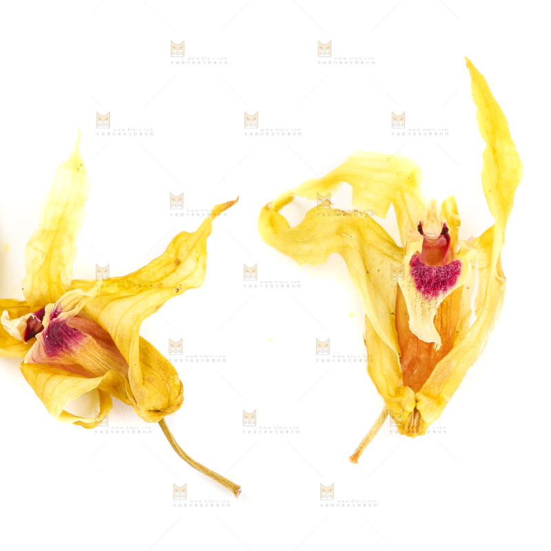 白底上的石斛花干