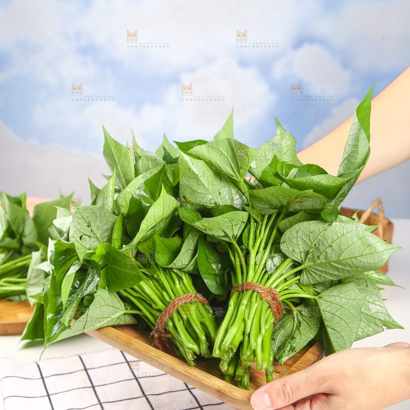 手里端着一盘红苕尖