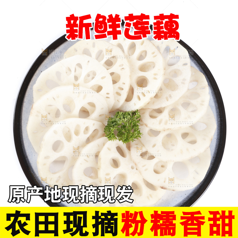 白底上一盘莲藕