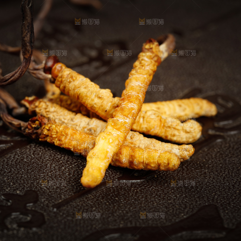深底上摆放着虫草