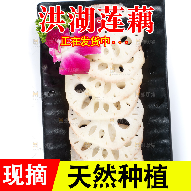 白底上一盘莲藕