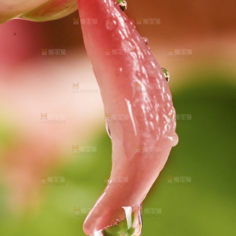 手里拿着红柚果粒
