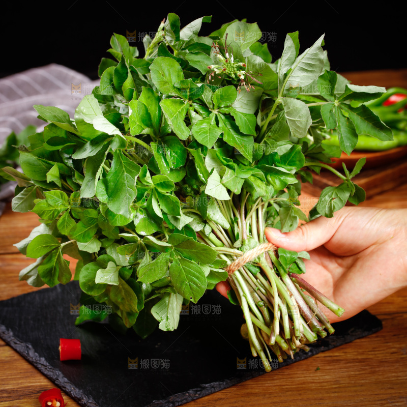 手里拿着一把白花菜