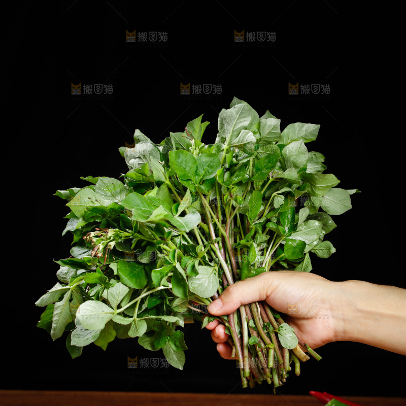 手里拿着白花菜