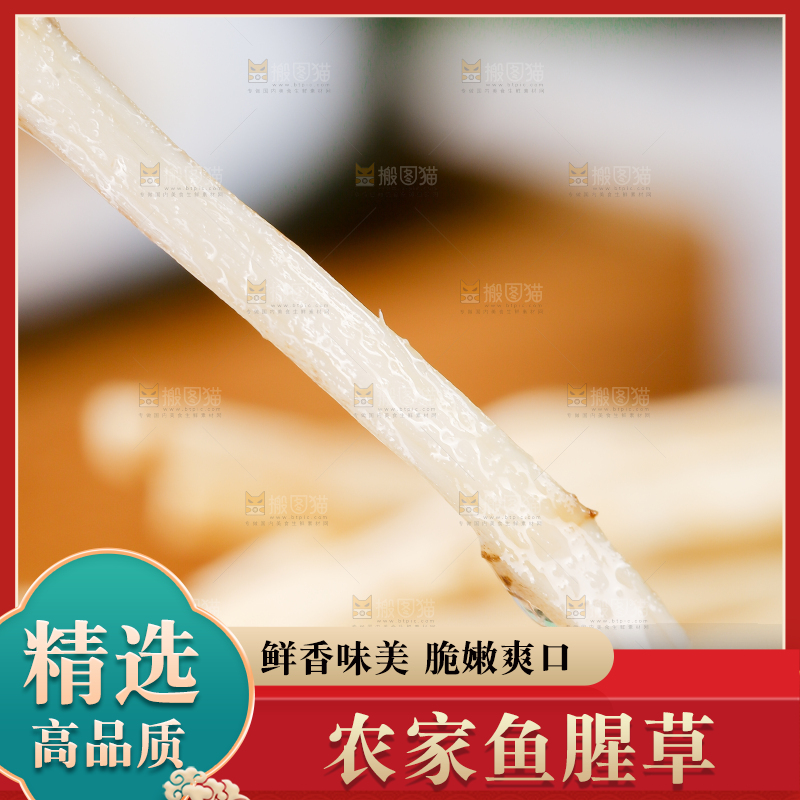 一根鱼腥草