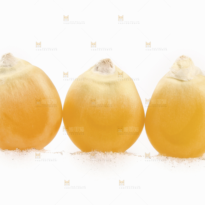 白底上的玉米粒
