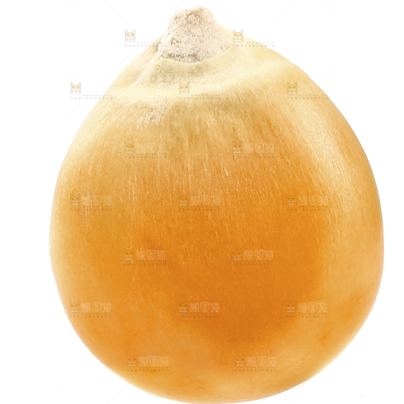 白底上的玉米粒