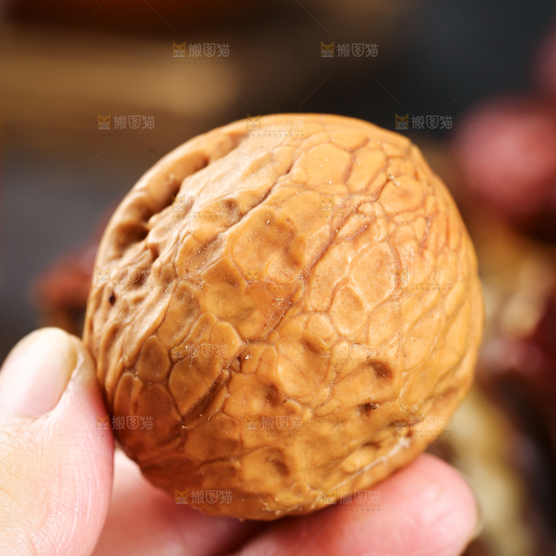 手里拿着一个纸皮核桃
