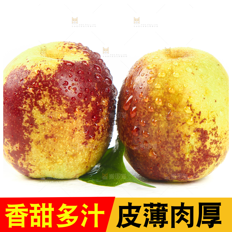 白底上的山东沾化冬枣