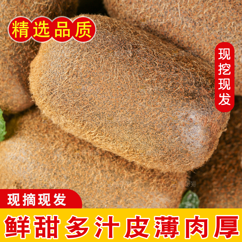 一篮贵长猕猴桃