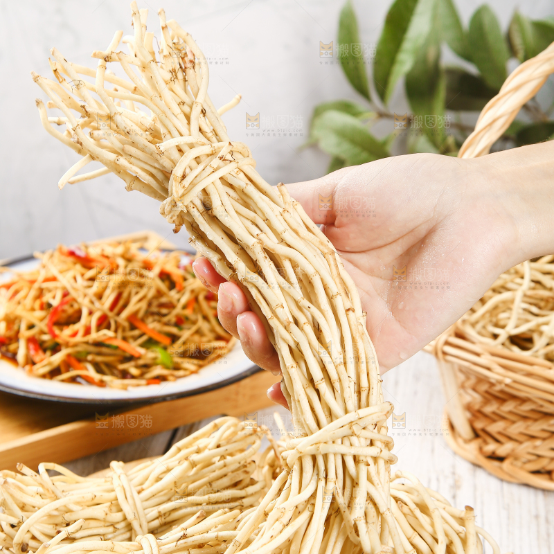 手里拿着鱼腥草