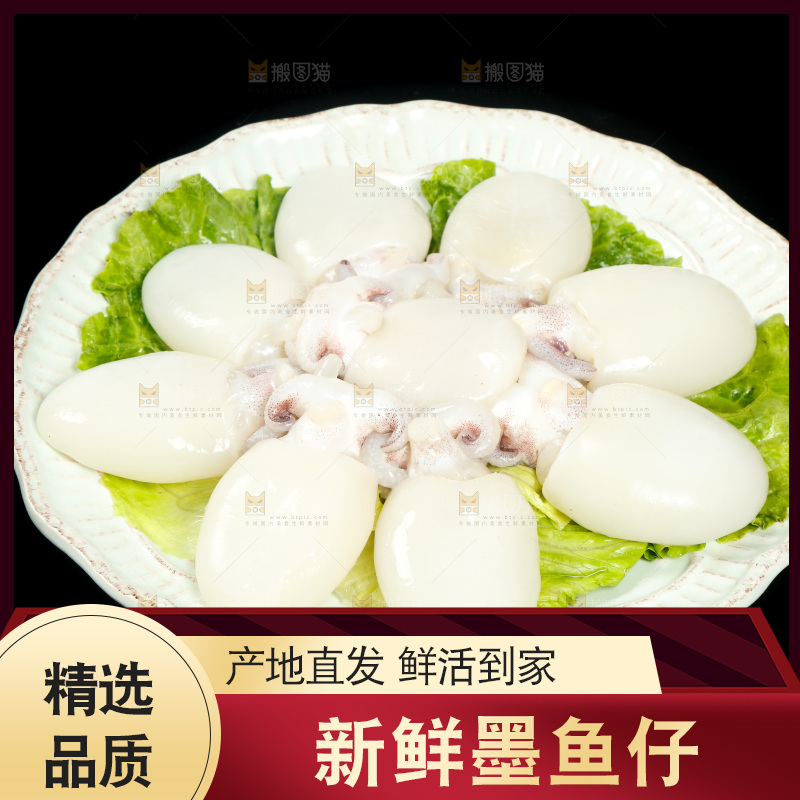 黑底上一盘墨鱼仔