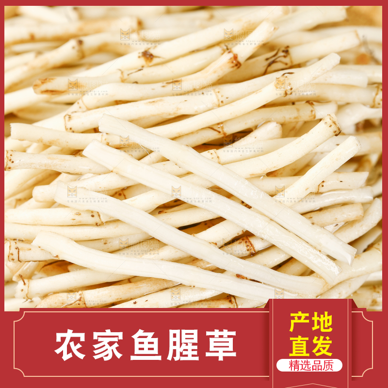 一堆新鲜折耳根