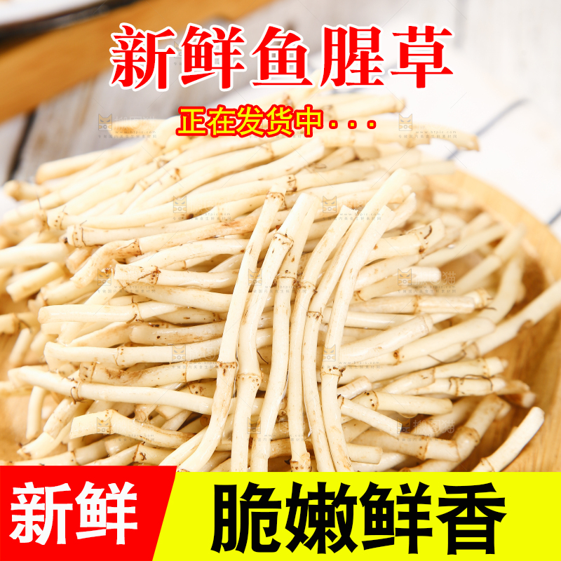 格子底上放着一盘鱼腥草