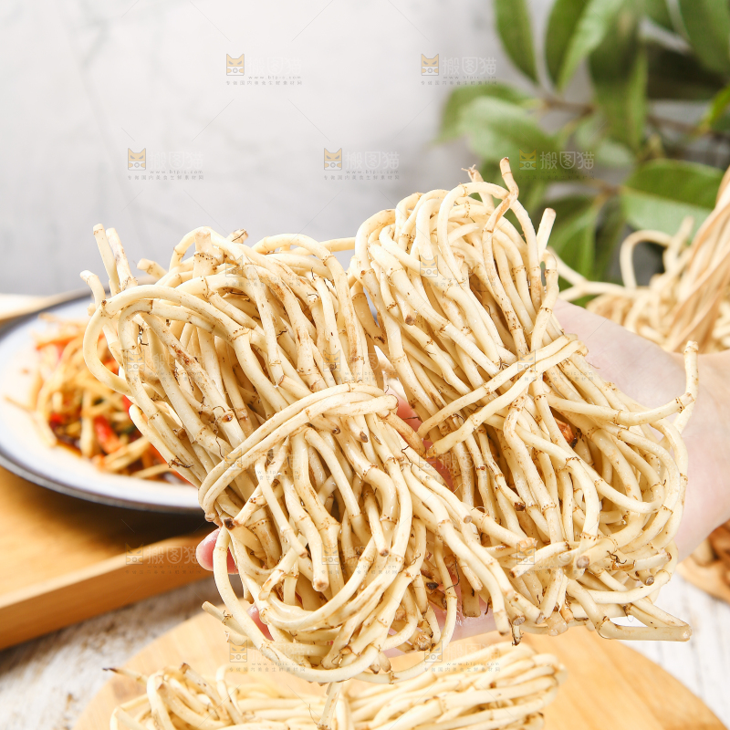 手里拿着鱼腥草