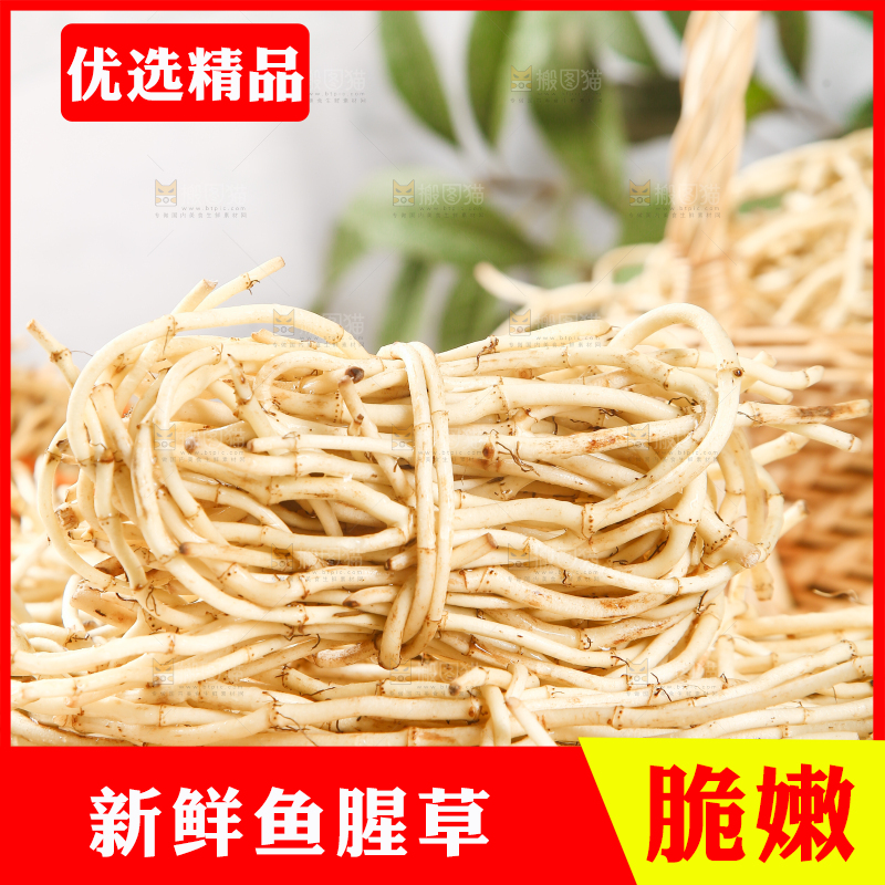 木板上放着一堆鲜嫩鱼腥草
