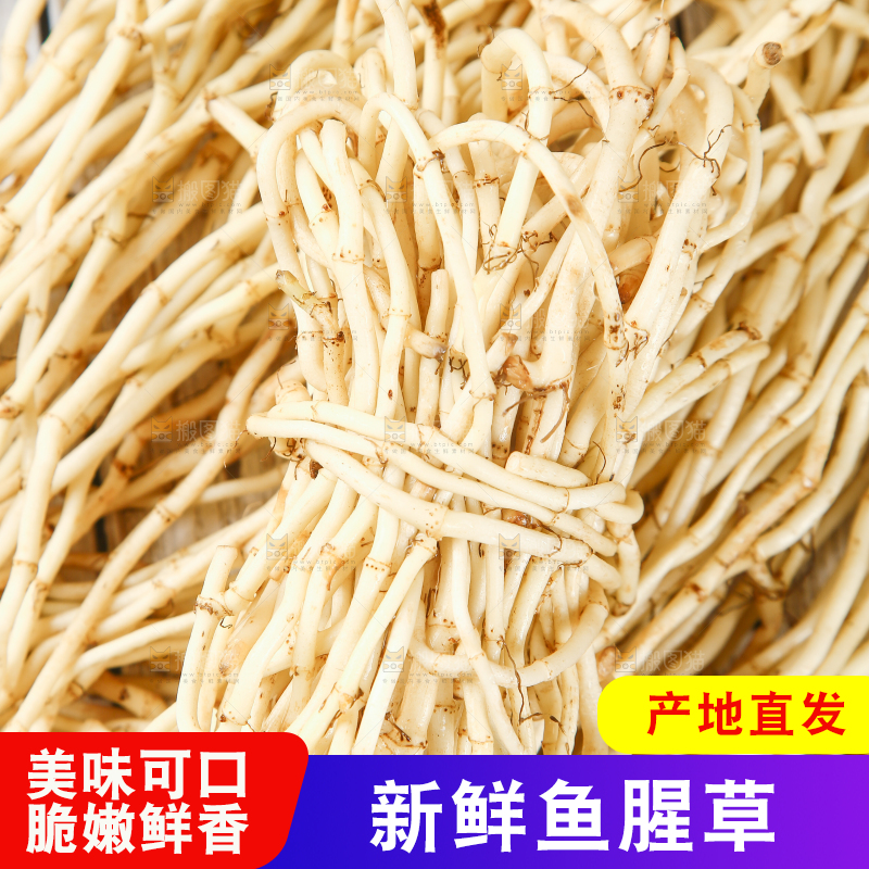 一堆新鲜折耳根