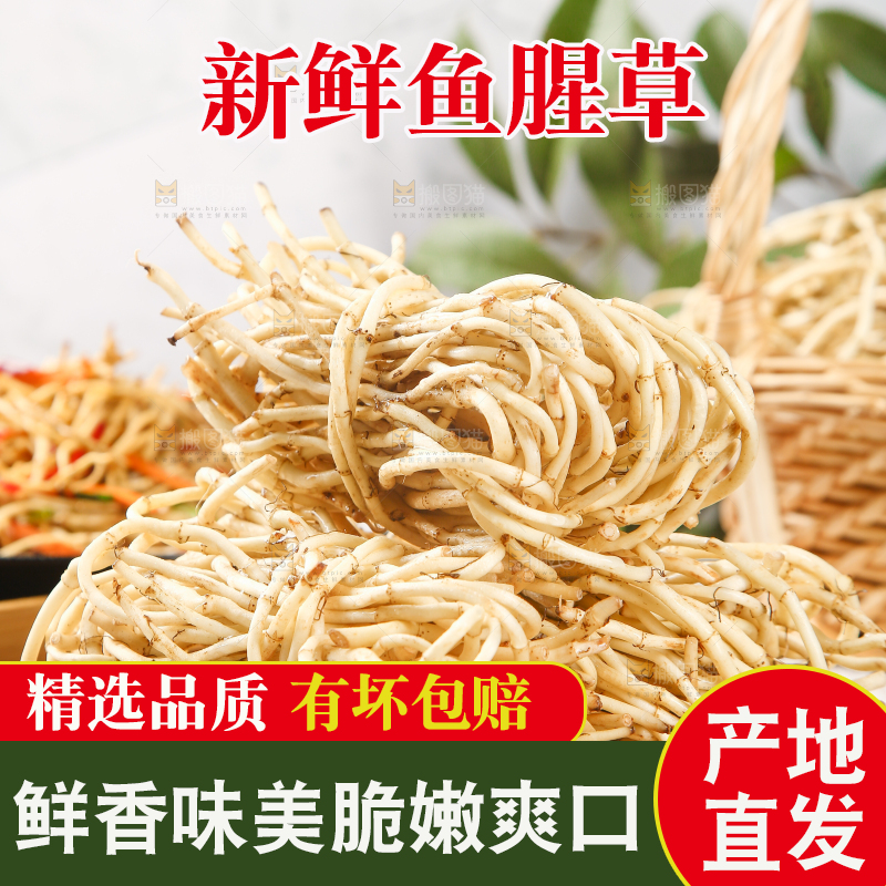 木板上放着一堆鲜嫩鱼腥草