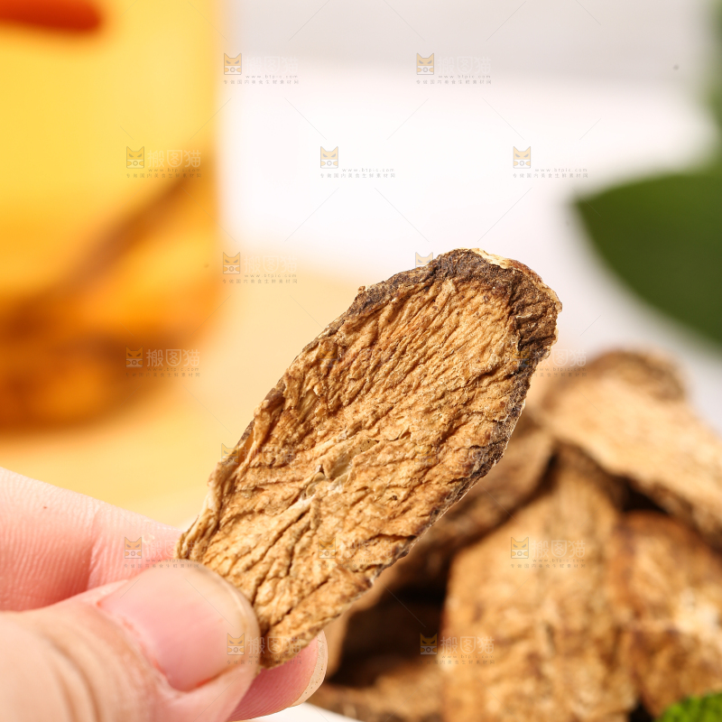 手里拿着牛蒡根