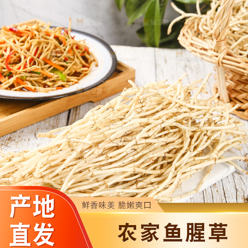 一堆新鲜鱼腥草