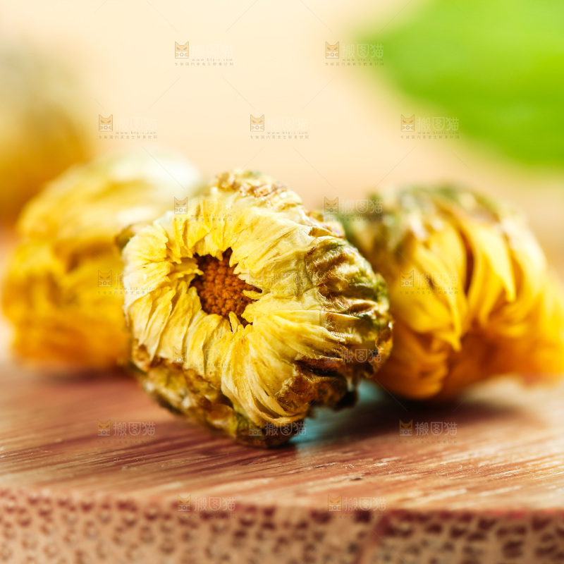 木底上的桐乡胎菊