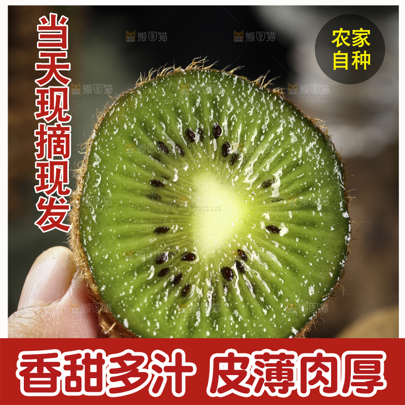 手里拿着绿心猕猴桃