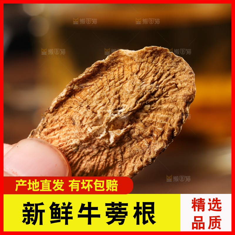 手里拿着牛蒡根