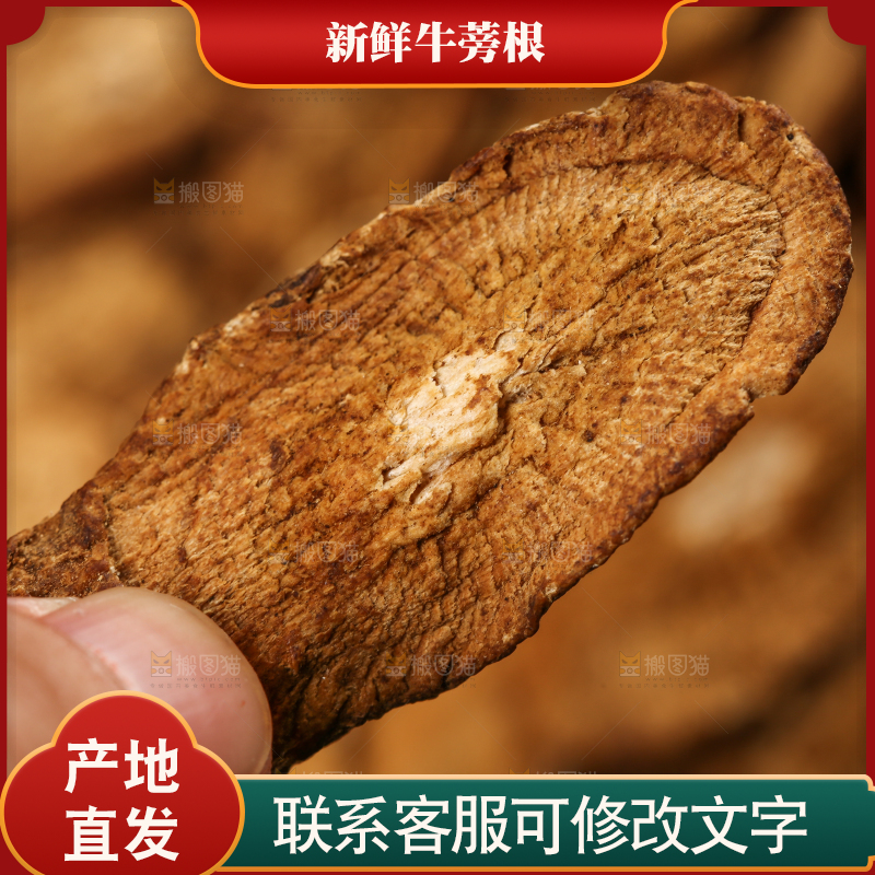 手里拿着牛蒡根