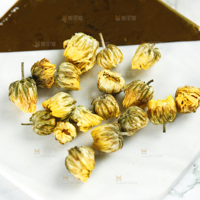 石垫上的胎菊