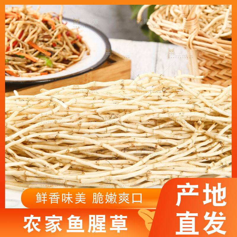 一堆新鲜鱼腥草
