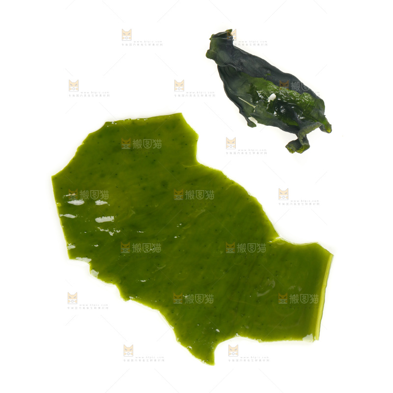 白底上的裙带菜对比