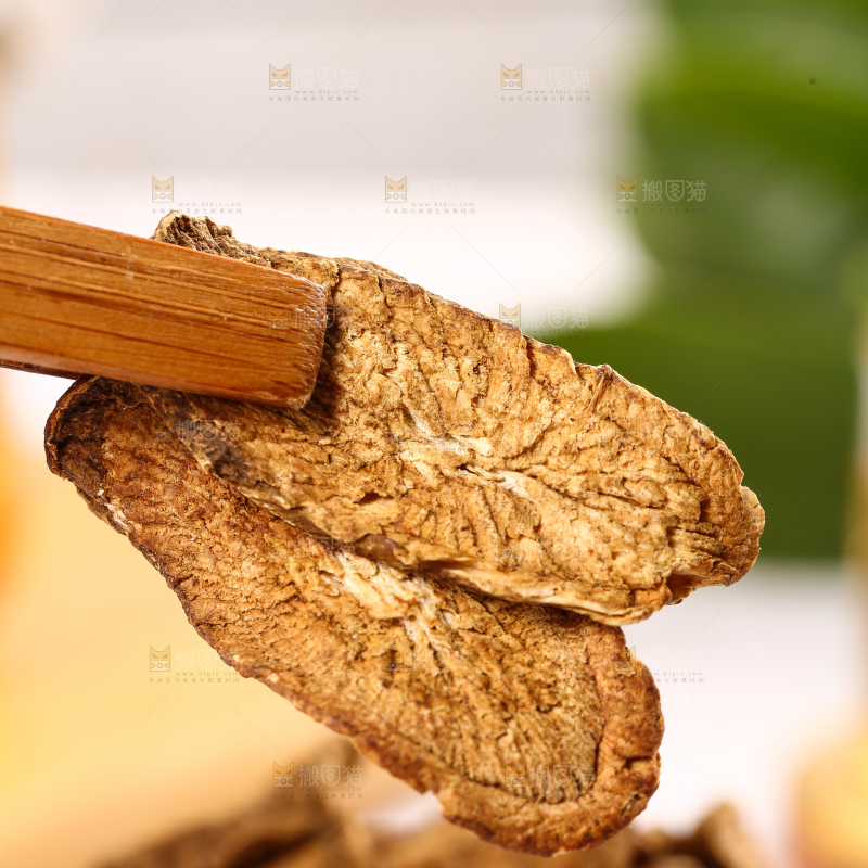 夹子上夹着牛蒡片