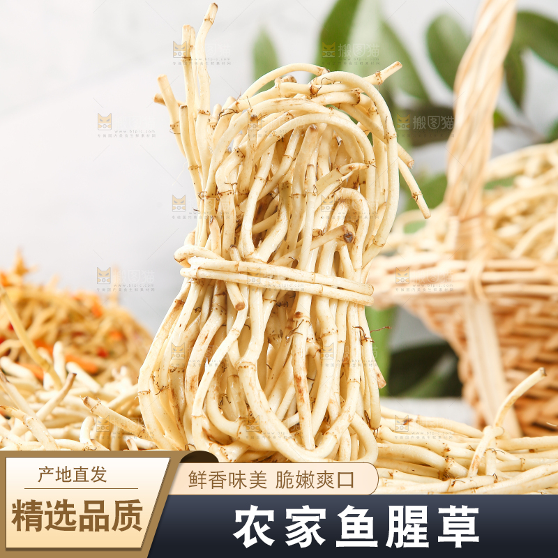 木板上放着一堆鲜嫩鱼腥草