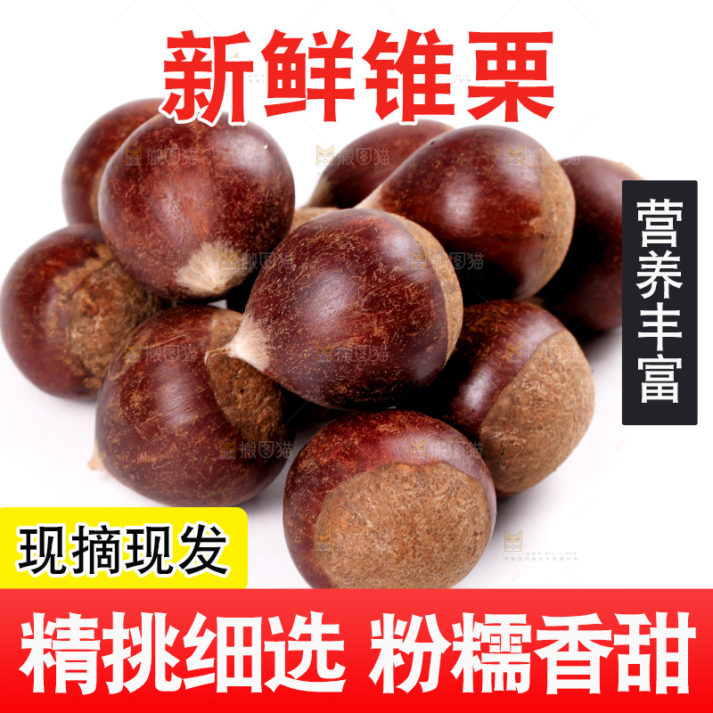 一堆建瓯锥栗